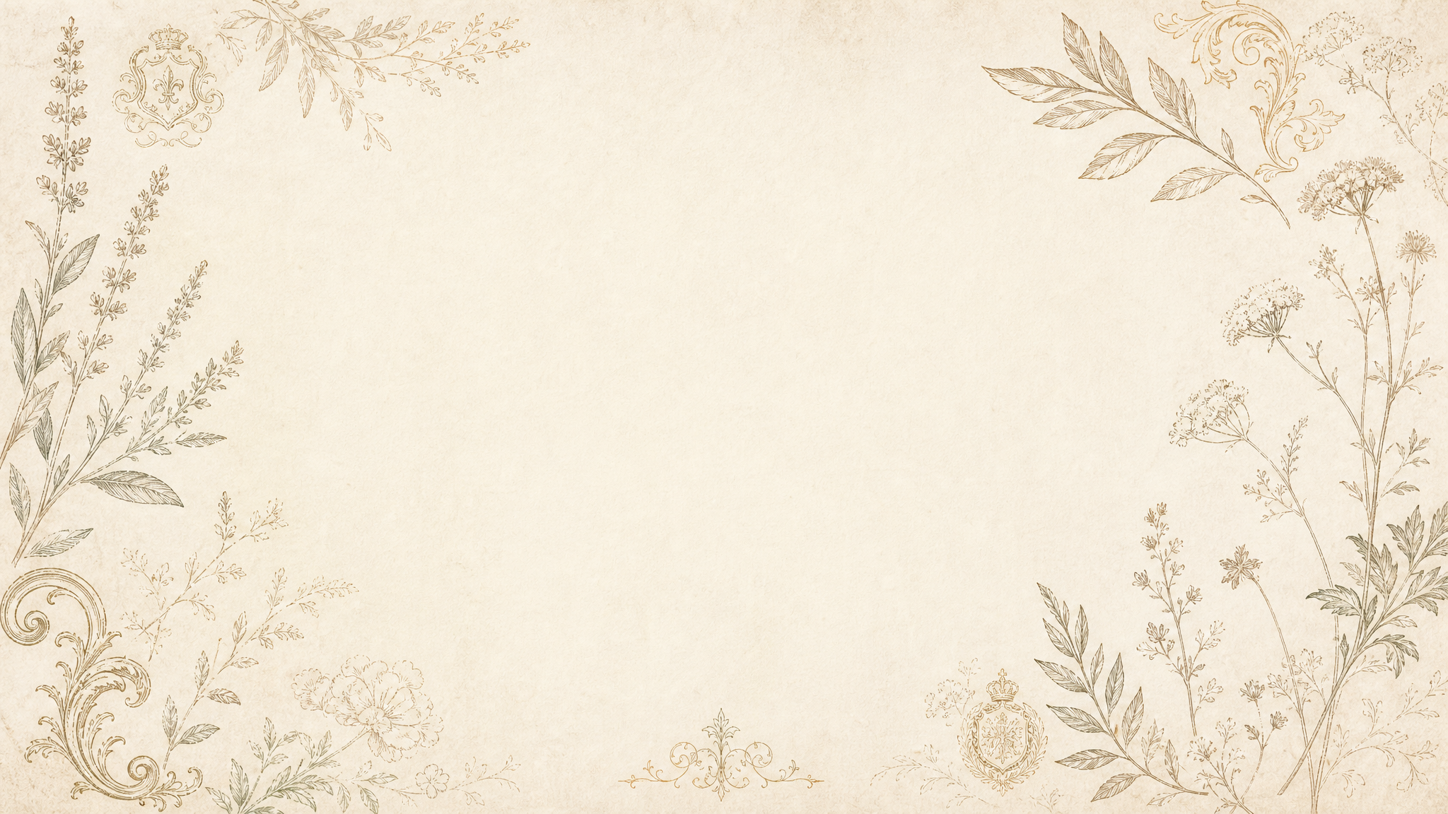 A curated arrangement of Velvet Sage gifts